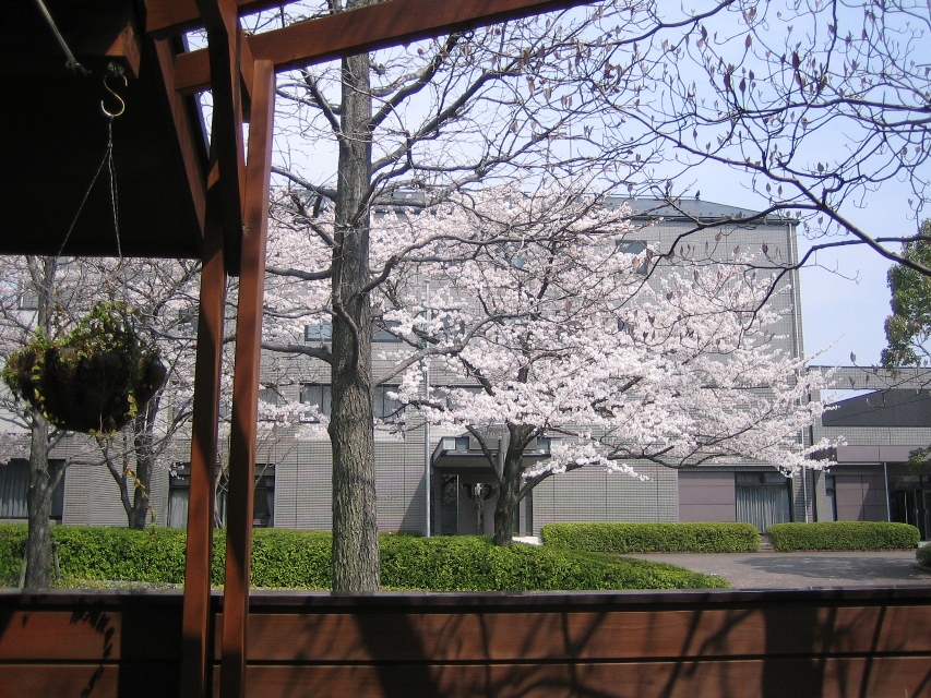 テラスからの風景
